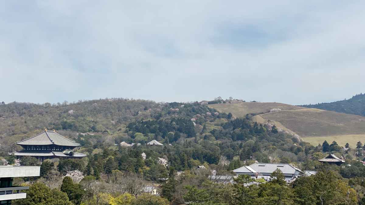 奈良観光名所風景