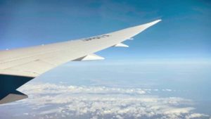 マツコの知らない世界で紹介されたポイ活主婦の夢をかなえる方法とは?飛行機に無料で乗れるポイ活を紹介