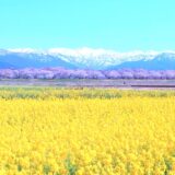 じゃらんスペシャルウィーク