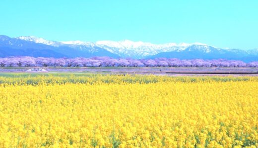 じゃらんスペシャルウィークの宿泊予約で2.7%分のポイント還元がもらえるお得な予約方法を徹底解説【2026年最新】