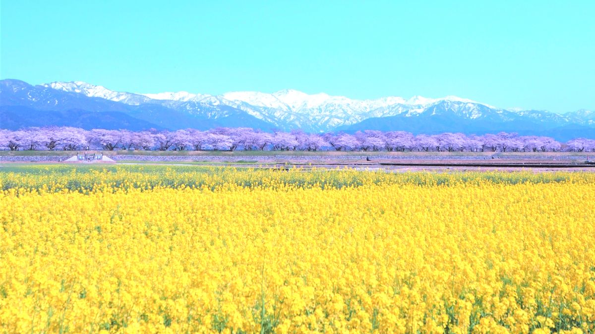 じゃらんスペシャルウィーク