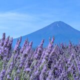 じゃらんのお得な10日間