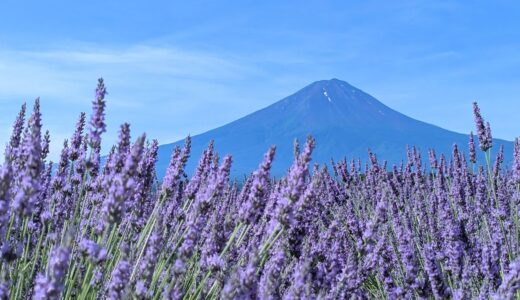 国内最大級の旅行予約サイトで宿泊料金2%分のポイントがもらえるお得な申込方法を徹底解説【2026年最新】
