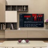 VIVANTの見逃し配信はU-NEXTで