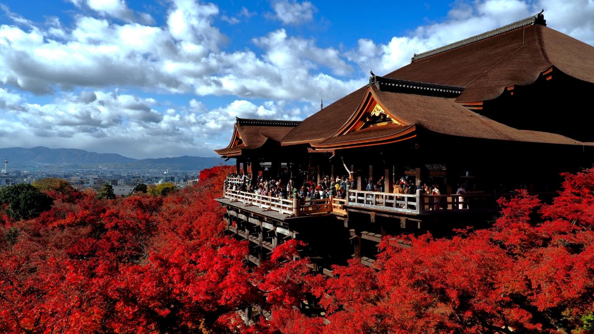 じゃらんのお得な10日間